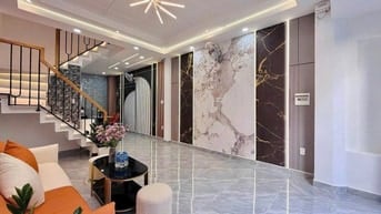 Chủ Cần bán Gấp nhà Nguyễn Oanh Gò Vấp 3T450/48m2 ( Sổ riêng đẹp ) 