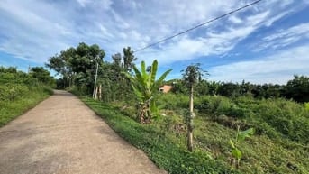 chính chủ cần bán 1000m2 đất trồng xoài thái giá rẻ