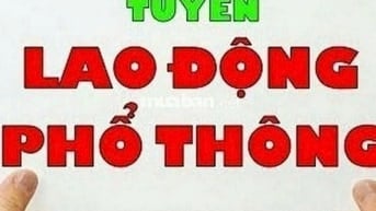 CẦN GẤP LAO ĐỘNG PHỔ THÔNG LÀM VIỆC TẠI KHO MỚI 