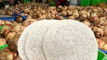 Tuyển LDPT cho xưởng chế biến nông sản.