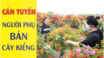 Cẩn tuyển 01 Nam có sức khỏe tốt, phụ bán cây Kiểng tại Gò Vấp TPHCM