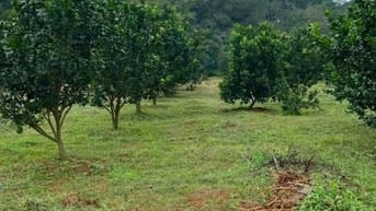 còn 3 lô tân hòa đồng phú anh chị quan tâm liên hệ em để được hỗ trợ