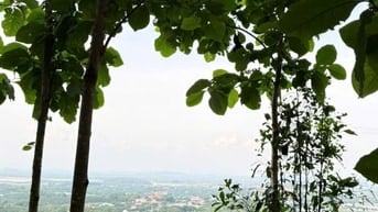 Bán đất view suối đẹp tuyệt tại Định Quán Đồng Nai 850tr/1000m2