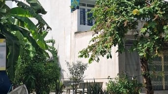 Bán đất mặt tiền đường D3 Phước Long B quận 9 cũ giá 12,6 tỷ
