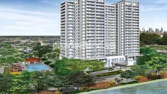 Cho thuê căn hộ River Garden, tầng thấp block B, dt 140m2, 3PN