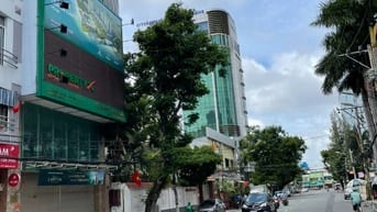 Tòa nhà 40 Hoàng Việt, Tân Bình. DT 12x20m, 2 hầm 10 tầng