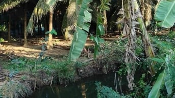 Bán rẻ 1670m2 đất CLN ấp Trung Hòa - Xã Trung Hòa - Huyện Chợ Gạo