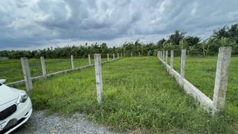 Bán 274m2 đất ODT phường Tân Khánh, TP Tân An, tỉnh Long An