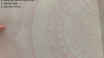 Bán đất dự án khu dân Tân Kim mở rộng