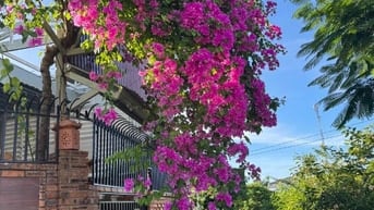 Bán nhà 2 mặt tiền dt; 225m2,ngang 7,5, đường 10,5m. Hương Thuỷ. Huế.