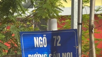 Chính chủ bán mảnh đất to đẹp ngõ 72 Cầu Noi 296m² giá 29,9 tỷ. 