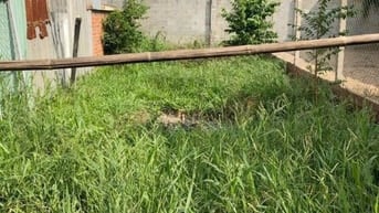 Cô Sáu gửi bán lô đất thổ cư 80m2, Tân Thạnh Đông, Củ Chi, Giá 980 tr.