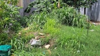 Bán đất thổ cư mặt tiền giá rẻ đường 120, phường Tân Phú, Quận 9