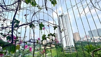 Chính chủ cho thuê căn hộ 3 ngủ, 2 wc ở đường Lê Văn Lương