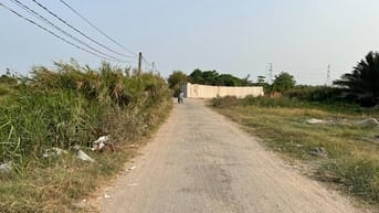 Cho thuê 7.000 m2 đất hẻm 366 Phạm Hữu Lầu, Phước Kiển, Nhà Bè 