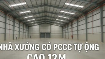 Cho thuê 6.850m2 nhà xưởng cao cấp , KCN Nam Thuận , Đức Hòa ,Long An 