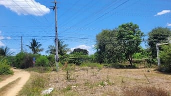 CTY ĐẤU GIÁ HỢP DANH TRỰC TUYẾN VIỆT NAM (VNOA) TỔ CHỨC ĐẤU GIÁ
