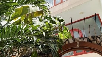 Dòng tiền 60tr/tháng 7 CHDV Hoàng Hoa Thám Phú Nhuận DTSD 250m sổ hồng