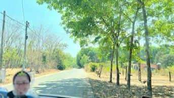 Chính chủ cần bán đất Minh Lập (Chơn Thành)