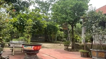Bán nhà vườn đầy đủ tiện nghi chỉ việc xách vali về ở.
