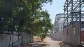 Cho thuê xưởng 17.000m2. Xã Lương Bình, Bến Lức, LA. 2 MT 830 và sông 