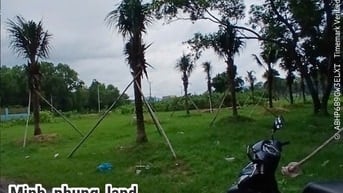 🔥 BÁN GẦN 2 SÀO 3 ĐẤT TMDV VIEW BIỂN LONG HẢI – PHƯỚC TỈNH
