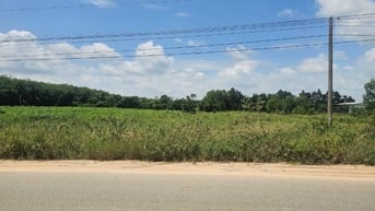 MUA NGAY LÔ ĐẤT ĐẸP TP.HCM-MẶT TIỀN DT749B