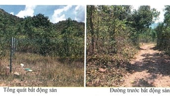 Bán đất tại địa chỉ:  Xã Vĩnh Lương, TP Nha Trang, tỉnh Khánh Hòa