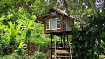 CHÍNH CHỦ BÁN GẤP VƯỜN 1.180M² CHỈ 1 TỶ TRỌN SỔ – VIEW SUỐI, ĐỒI
