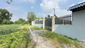 ✅bán cắt lỗ lô đất đường 4m , Tân Bửu , Bến Lức 