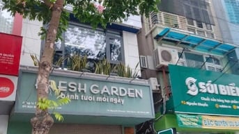 Cho thuê 90m2, đầu phố Nguyễn Khuyến, đường 36m, hè 8m, sầm uất