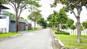 Bán Đất MT Rạch Dự An Đĩa Ốc 10 Bắc Rạch Chiếc Phước Long A Quận 9 