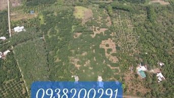 Nhà vườn sinh thái 3,2ha tại Sông Xoài Phú Mỹ nay thuộc Hồ Chí Minh