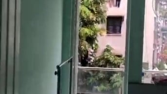 Đường Đội Cung, Phường 9,Q11 💥 PHÒNG BAN CÔNG 3 triệu