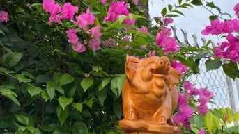 Heo g.ỗ Ngọc Am liền nguyên khối