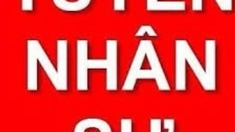 CÔNG TY CẦN TUYỂN GẤP 02 KẾ TOÁN KHO 
