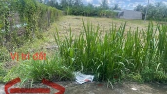 Bán đất KCN Tân Hương, 520tr, 115m2, pháp lý đầy đủ.