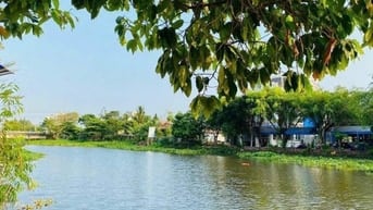 Lốc 6 lô còn 4 MT Sông Vàm Thuật . Đường Đang Làm.Gía Đầu Tư