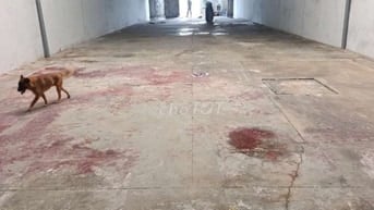 💗🏠kho xưởng mới 400m2. Giá 25tr tân  Thới Hiệp quận 12  Mặt bằng kin