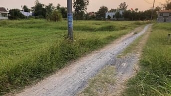 Bán đát xã mỷ hạnh [ xã củ đức hòa đông ]