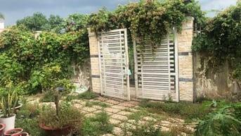 Cần bán nhà vườn tại 114 ấp 1 Mỹ Nhơn, xã Tân Bửu, huyện Bến Lức