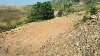 Đất trồng cây lâu năm có sổ hồng chính chủ 