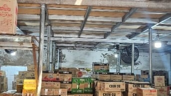 Tuyển lao động phổ thông bốc xếp