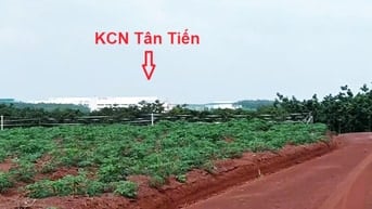 ĐẤT SÀO NGAY KCN Tân Tiến giá siêu hời 550 triệu,  1000m2