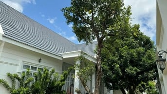 Bán biệt thự sân vườn có quán cafe tại Long Đức Trung Tâm Tp.Trà Vinh