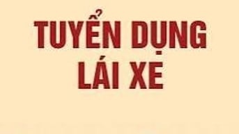 Tuyển 1 lái xe bằng D, chạy du lịch, lái xe 29 chỗ, lương thoả thuận 