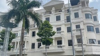 Cho thuê 2 căn liền kề đường số 3, KDC Cityland, P.10, GV: 10m x20m 
