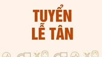 Công ty TNHH Tư Vấn Địa Ốc Mỹ Kim cần tuyển tiếp tân nữ và tạp vụ nữ