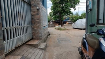 🌊 BÁN ĐẤT KIỆT HOÀNG SA – SÁT BÃI TẮM MÂN THÁI – SƠN TRÀ 🌴