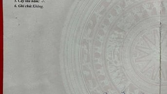 Nhà vườn xinh mặt tiền phố chính